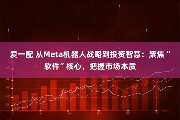 爱一配 从Meta机器人战略到投资智慧：聚焦“软件”核心，把握市场本质