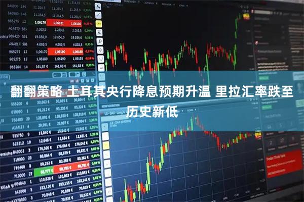 翻翻策略 土耳其央行降息预期升温 里拉汇率跌至历史新低