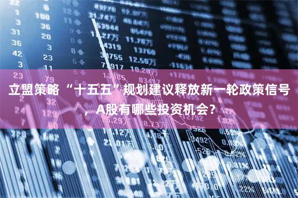 立盟策略 “十五五”规划建议释放新一轮政策信号，A股有哪些投资机会？