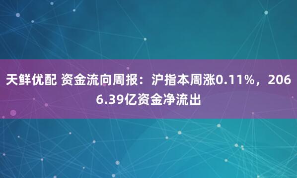 天鲜优配 资金流向周报：沪指本周涨0.11%，2066.39亿资金净流出