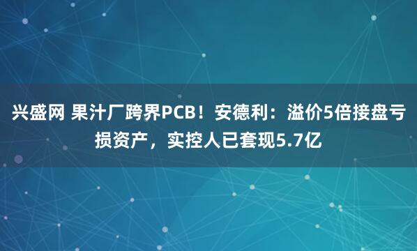 兴盛网 果汁厂跨界PCB！安德利：溢价5倍接盘亏损资产，实控人已套现5.7亿