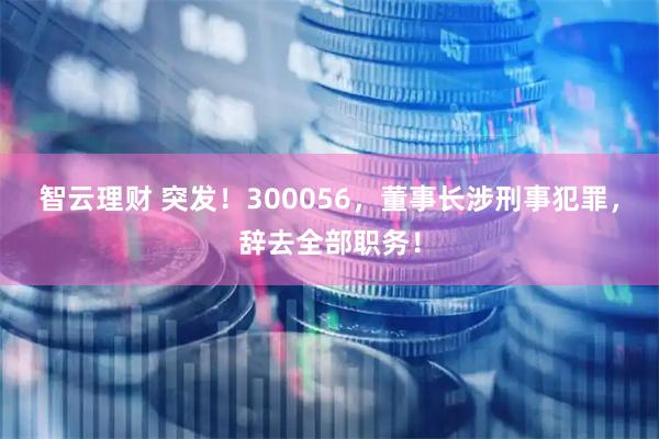 智云理财 突发！300056，董事长涉刑事犯罪，辞去全部职务！